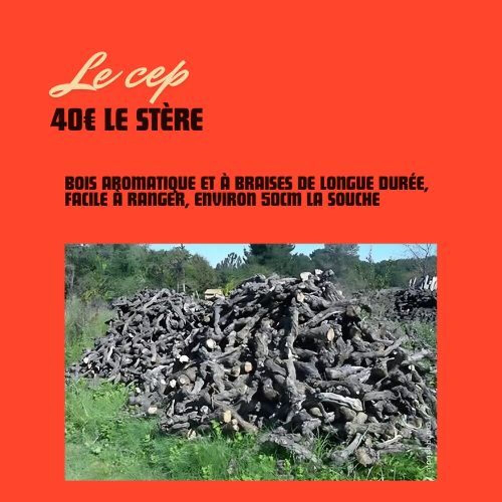 St&egrave;re cep de vigne pour grillade Jardin
