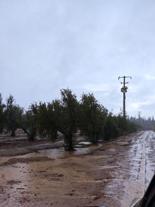  Terrain � vendre 10000 m� Marrakech, maroc