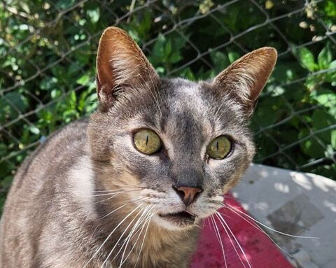 LUCY 230 27620 Gasny