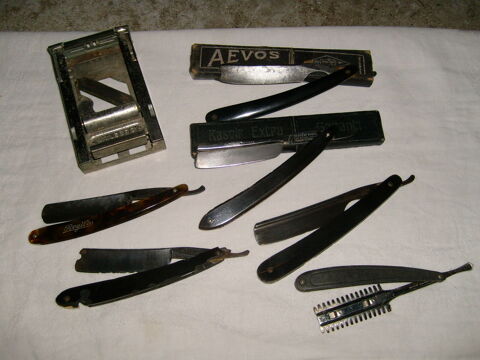 Coupe chou + autres 0 Varades (44)