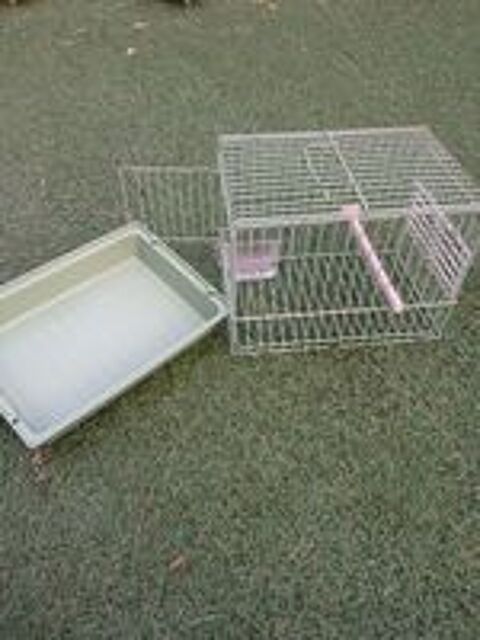   cage de transport 
