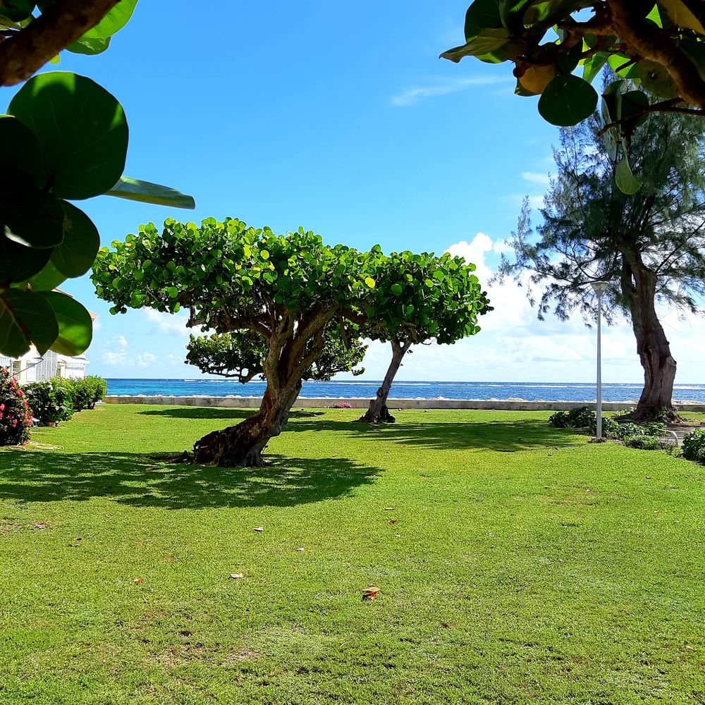   Sainte Anne Vue mer et pieds dans l'eau DOM-TOM, Sainte-Anne (97180)
