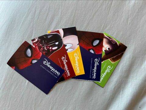 Disneyland Paris 5 45 Saint-Brieuc (22)