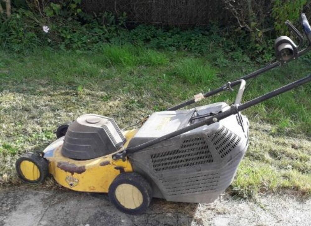 Tondeuse &agrave; gazon &eacute;lectrique Jardin