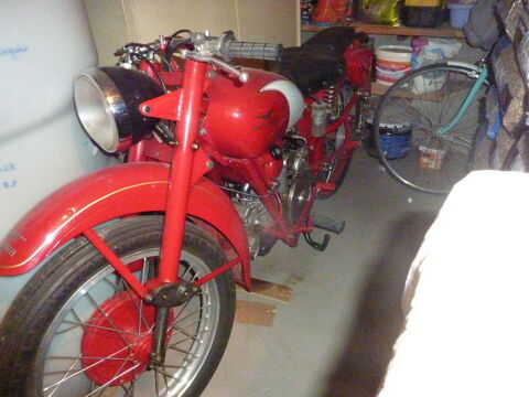 Moto MOTO GUZZI 1952 occasion Tourville-sur-Arques 76550