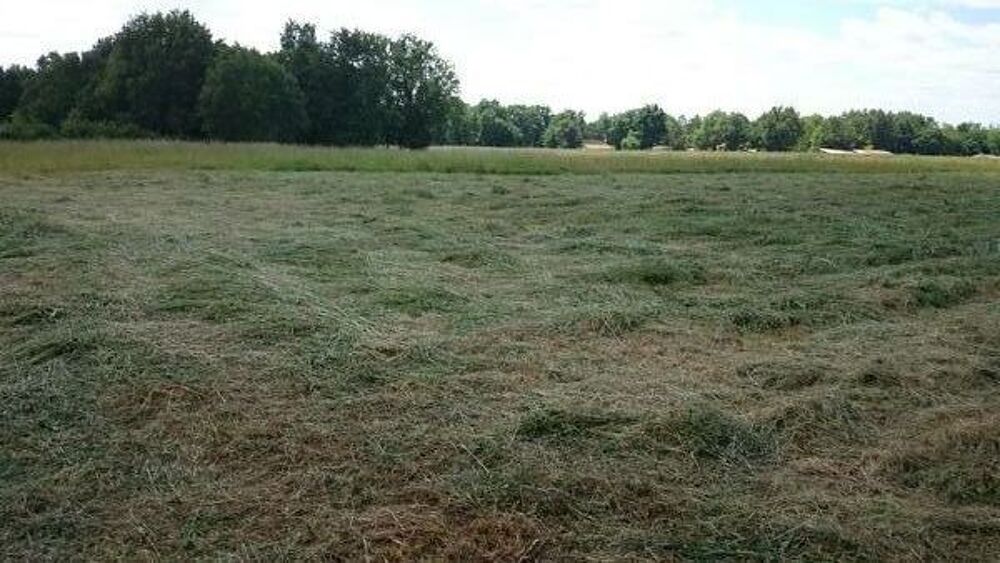 Vente Terrain TERRAIN A BATIR A PRIGONRIEUX Prigonrieux