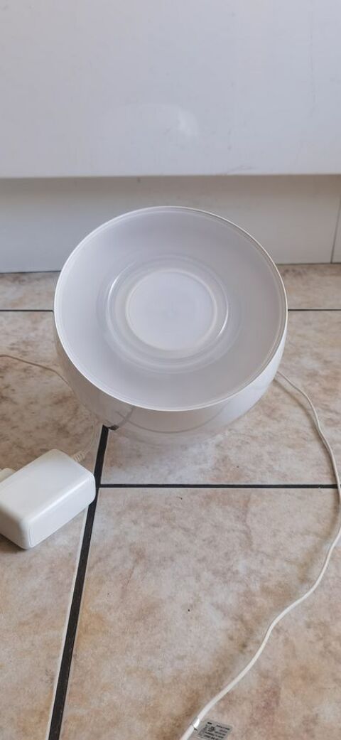 Lumi�re d'ambiance Philips 20 Dijon (21)