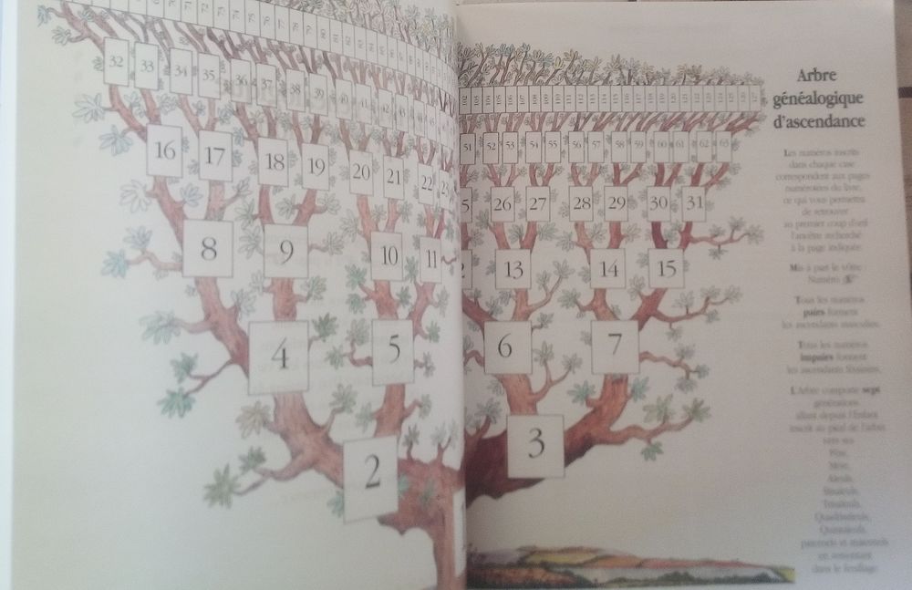 Livre g&eacute;n&eacute;alogique 7 g&eacute;n&eacute;rations Livres et BD