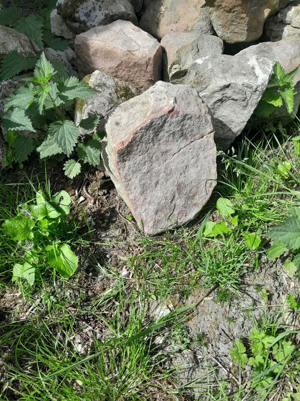 pav&eacute; Jardin