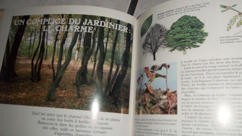 Les sous bois et leurs myst&egrave;res Atlas Livres et BD