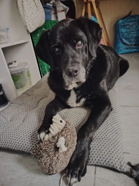 Marlay 280 44000 Nantes