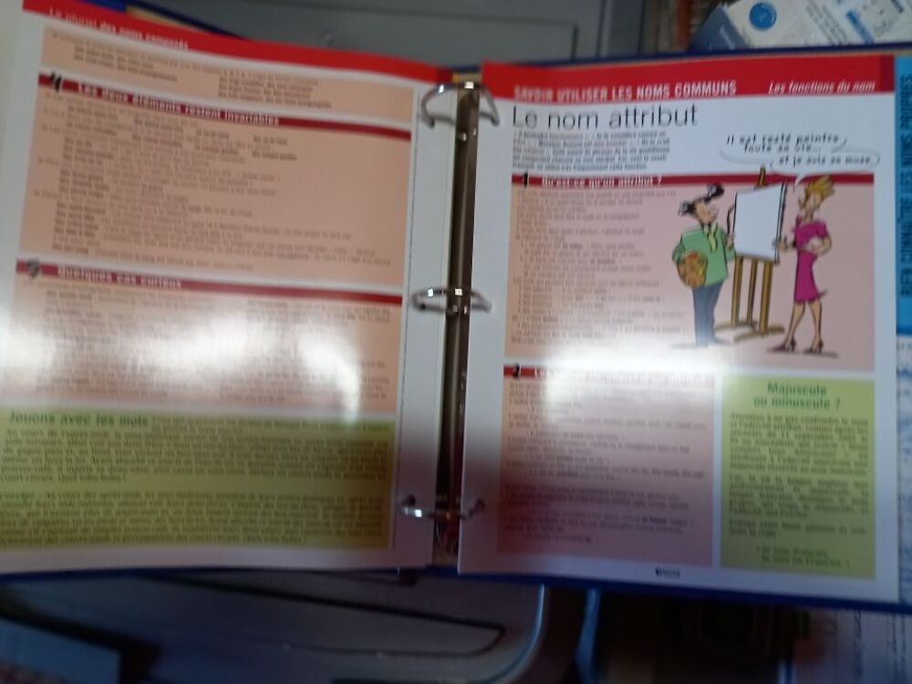 Classeur pratique et maitrise de la langue Fran&ccedil;aise Livres et BD
