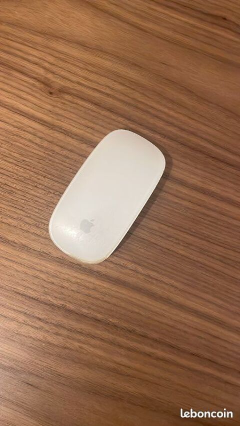 souris apple Orleans (45)