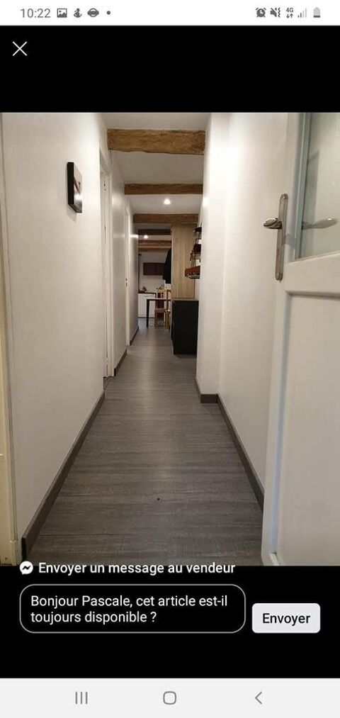  Appartement � louer 3 pi�ces 55 m�