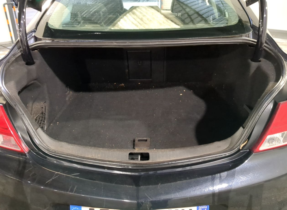 Insignia 2.0 CDTI - 130 FAP Cosmo Pack 2009 occasion 44320 Saint-P&egrave;re-en-Retz