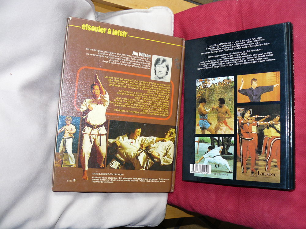lot 2 livres arts martiaux g&eacute;n&eacute;raliste ; pr&eacute;sentation des di Livres et BD