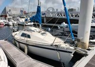 Monocoque 1982 occasion 62200 Boulogne-sur-Mer