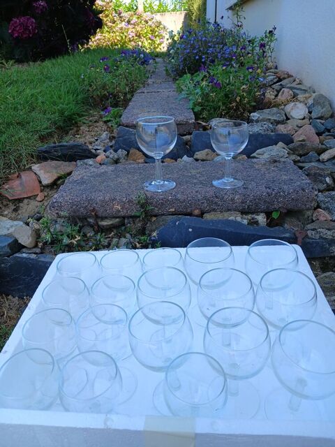 VERRES BALLON Lannion (22)