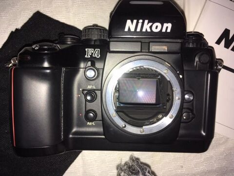 Nikon F4 professionnel Argentique 0 Hiers-Brouage (17)
