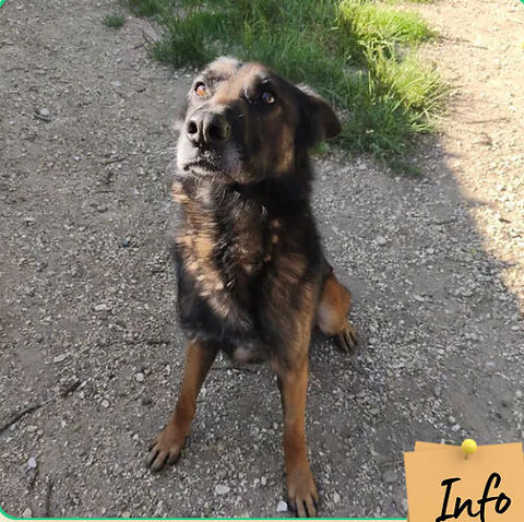 Maverick 230 26700 Pierrelatte