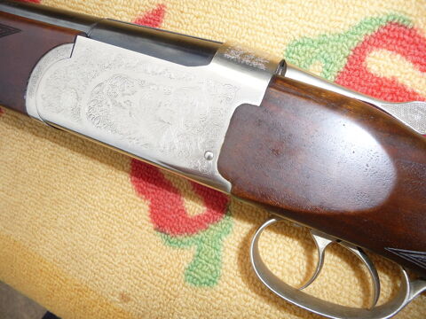 Fusil de Chasse 700 Saint-Quentin-sur-Nohain (58)