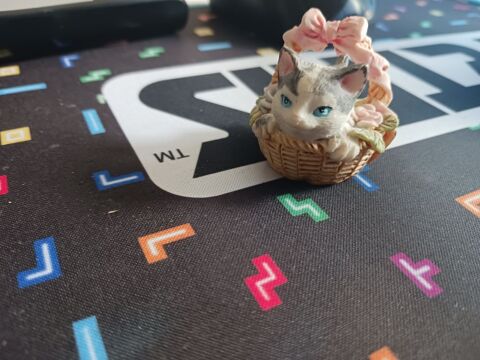 petit chat dans son petit panier rose 1 Thourotte (60)