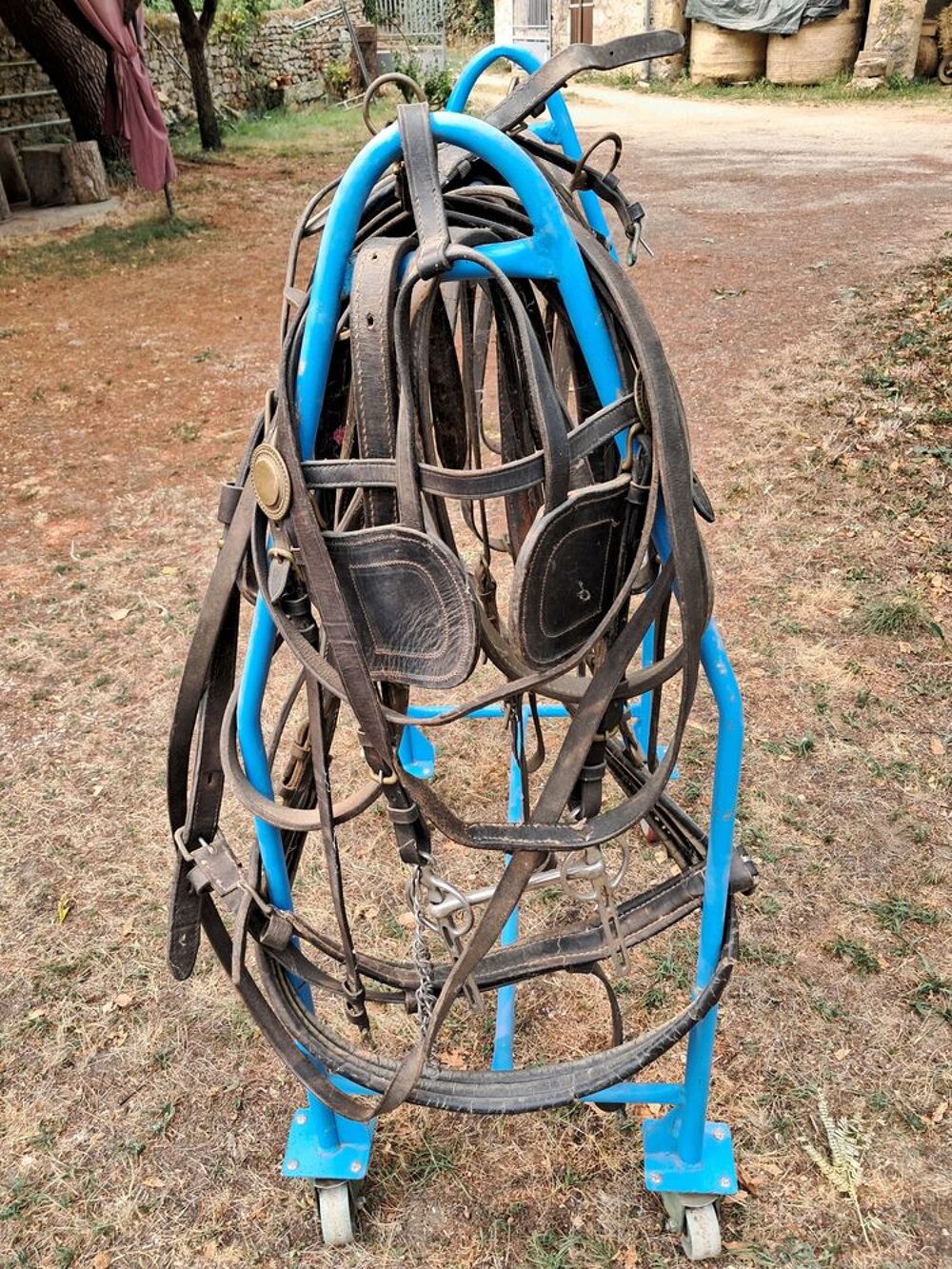 Carriole avec harnais Bricolage
