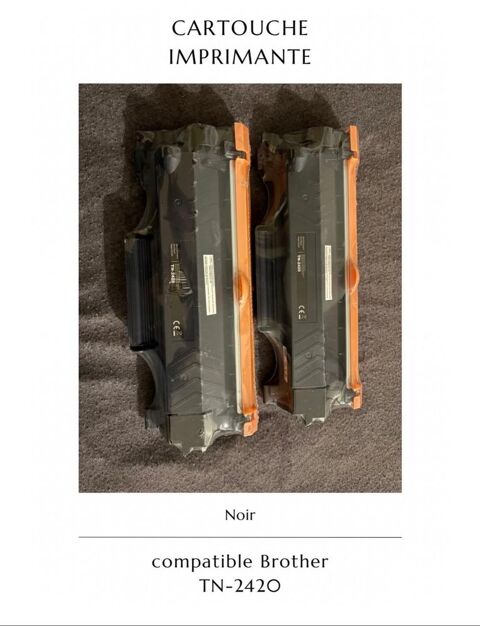 Cartouche encre 20 Nantes (44)