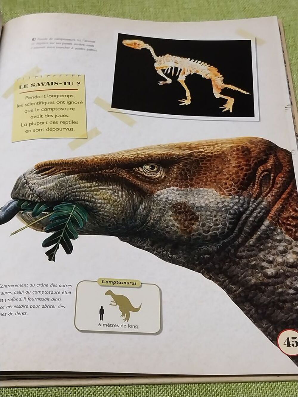 Dinosaures le livre de tous les secrets Rupert Matthews Livres et BD