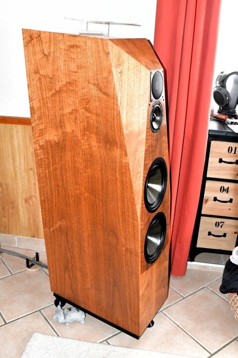 Enceinte colonne Hifi Haut de gamme AVALON 3990 Caniac-du-Causse (46)