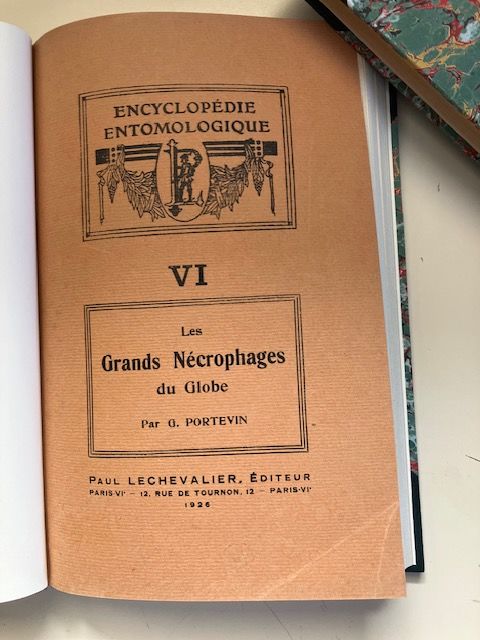 Les Grands Nécrophages du Globe. G. Portevin  150 Saint-François (97)
