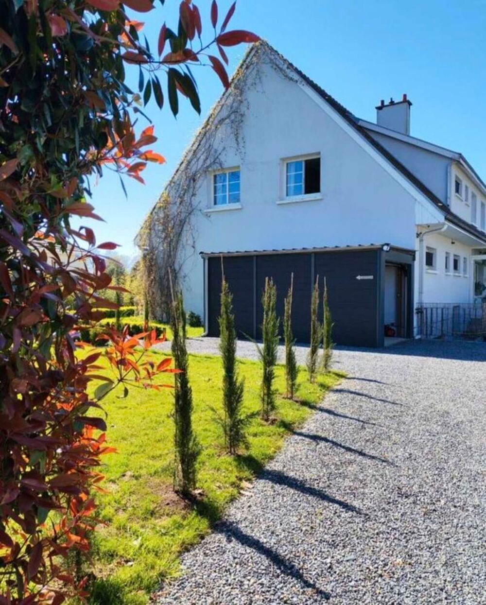 Vente Maison Maison 300 m2 Mont-Saint-Aignan Vatine Mont-saint-aignan