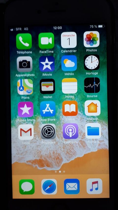 IPHONE 6 de 128 Go Gris sidral 65 Nantes (44)