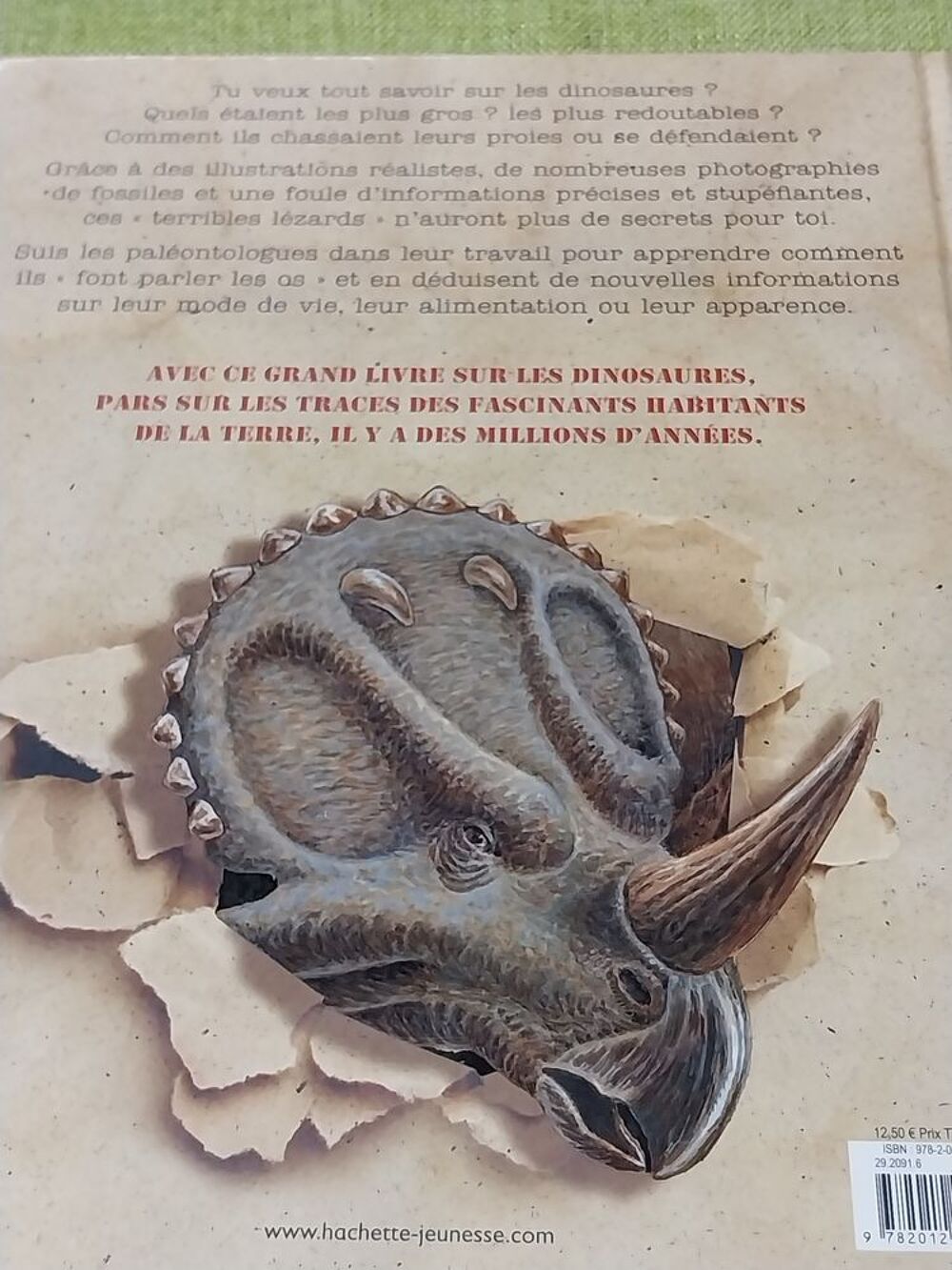 Dinosaures le livre de tous les secrets Rupert Matthews Livres et BD
