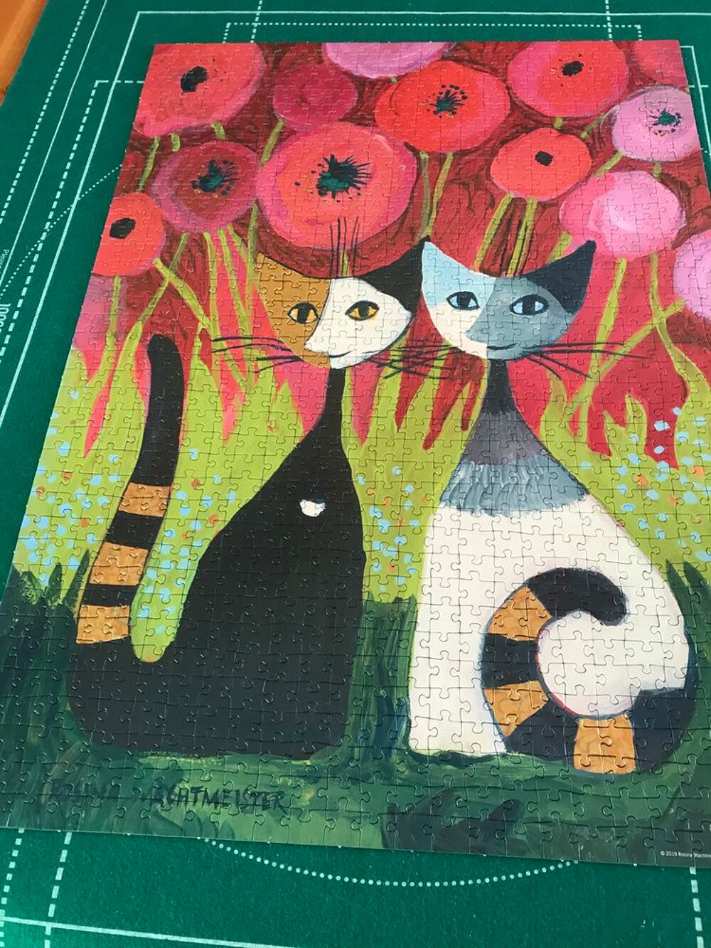 Puzzles 1000 pi&egrave;ces Jeux / jouets