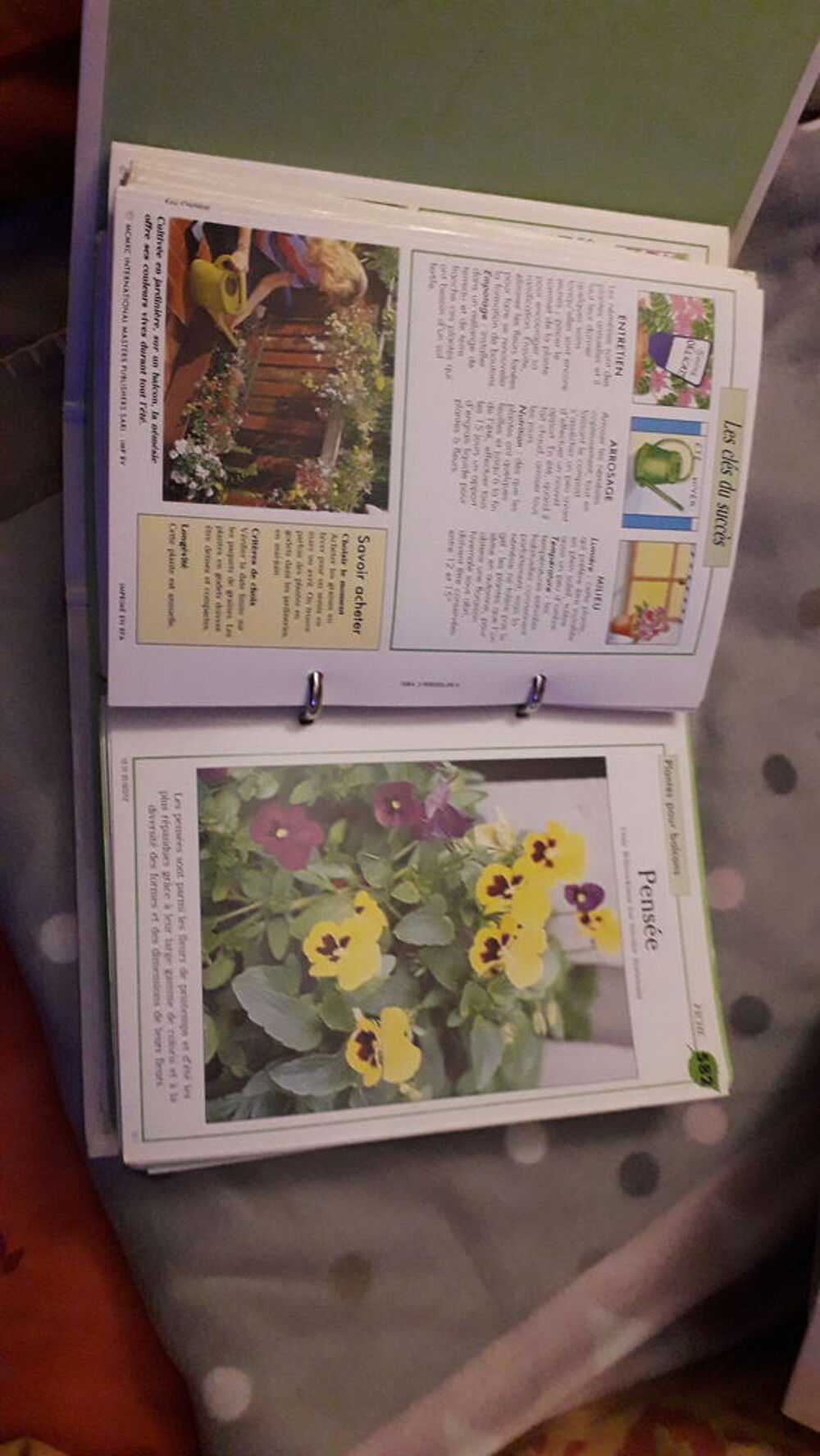 Comment entretenir fleurs et plantes Livres et BD