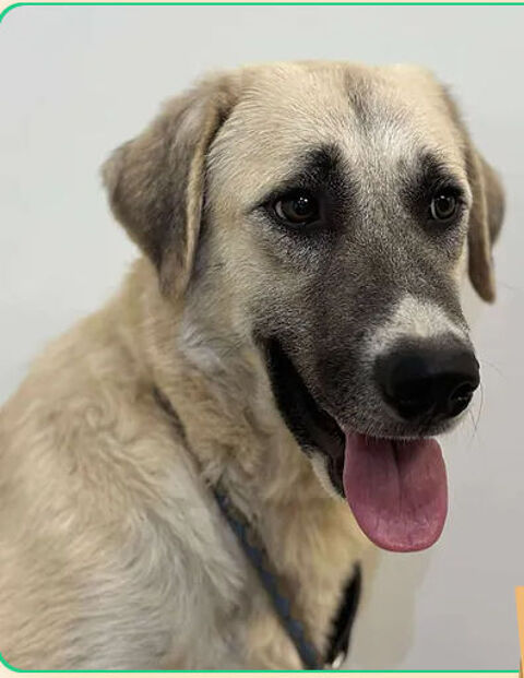 Finike 230 26700 Pierrelatte