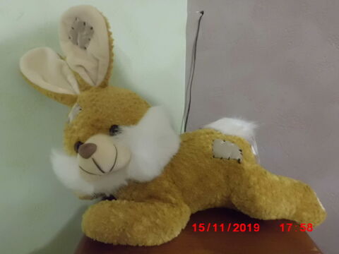 LAPIN MARRON ET BLANC ALLONGE 15 Oignies (62)