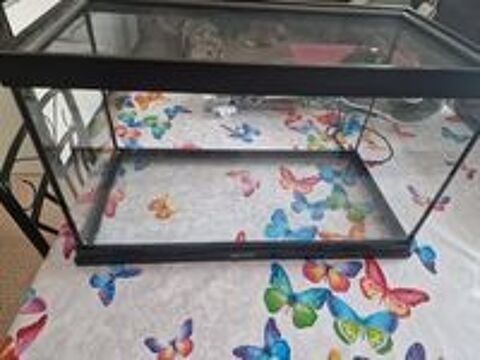   terrarium complet avec accessoires 