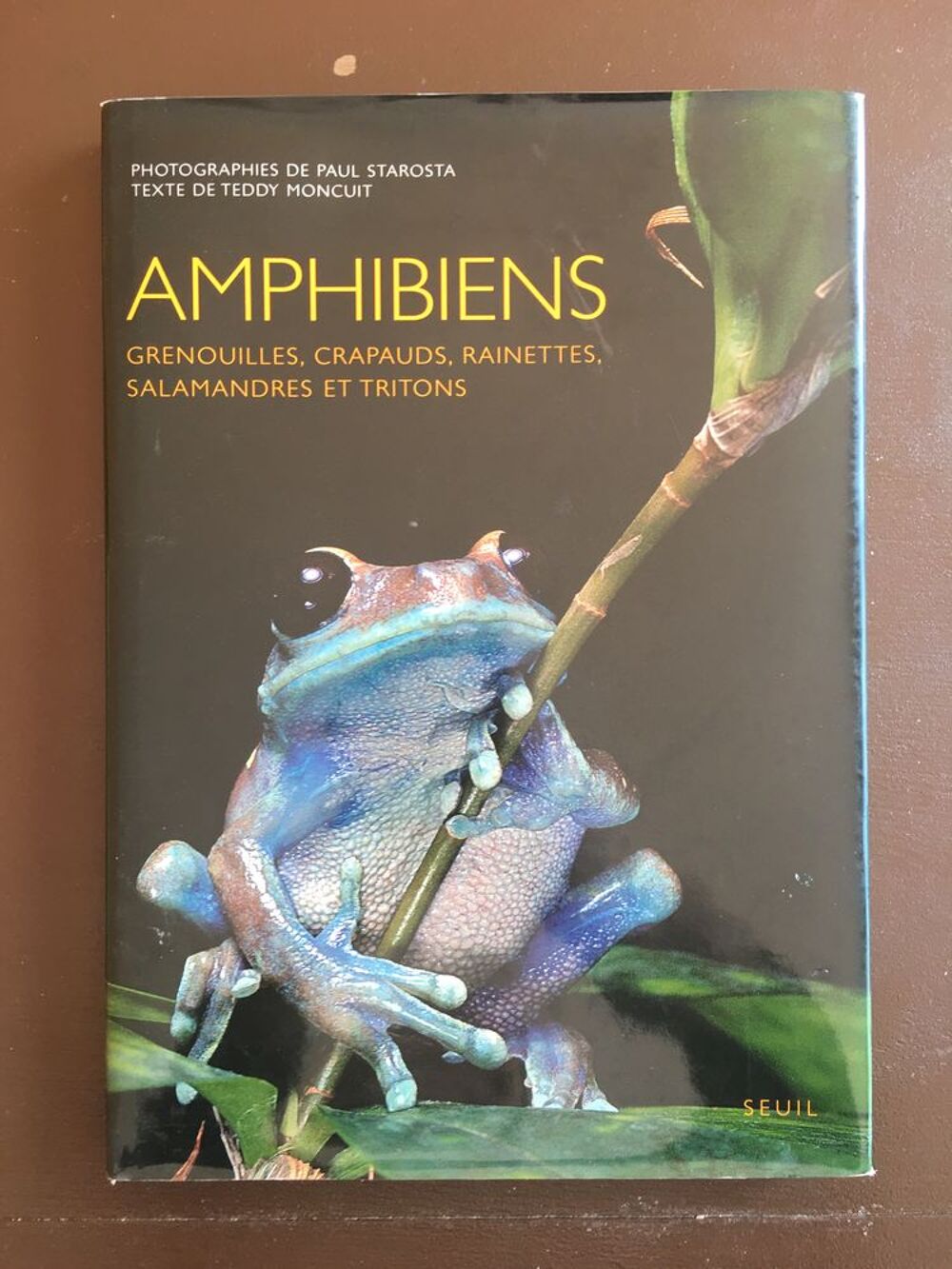 Amphibiens (Grandes Illustrations Haute Qualit&eacute;) Livres et BD