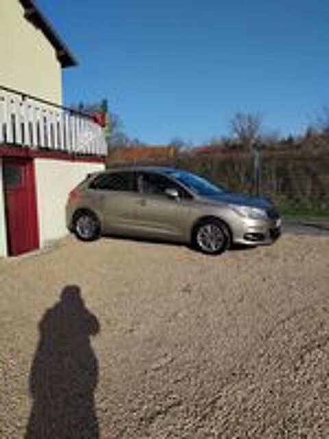 C4 1.6i 16V 110 BioFlex airDream Pack 2011 occasion 03380 Lamaids