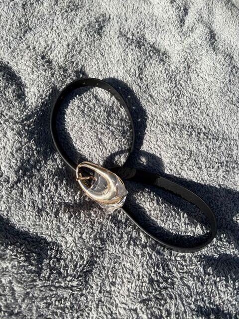 ceinture Mondeville (14)