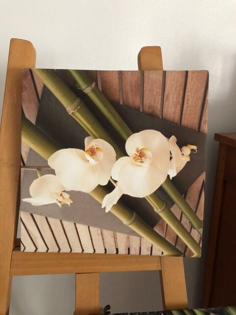 Tableaux orchid�es 30 Ch�teauroux (36)