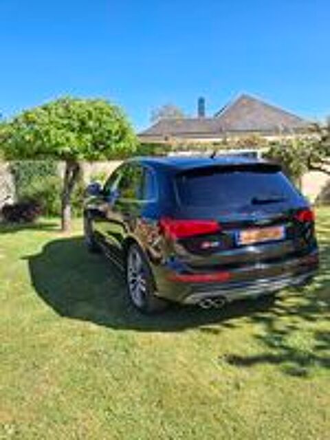 SQ5 V6 3.0 BiTDI 313 Quattro Tiptronic 8 2015 occasion 08090 Aiglemont