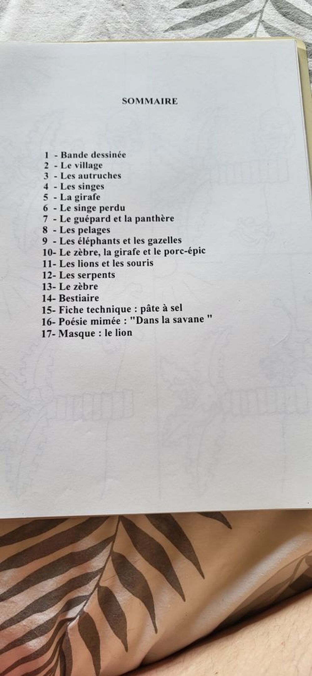 Fichier photocopiable copyfiches Dans la savane maternelle Livres et BD