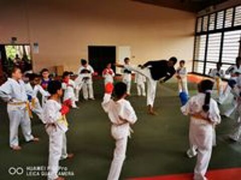   Cours de MMA, self defense , boxe , karat,  Prpa physique  