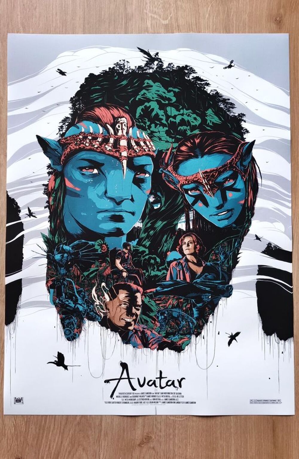 Affiche poster AVATAR Décoration