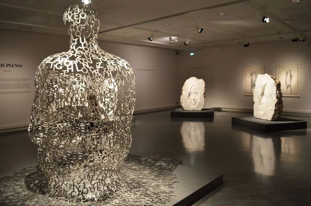 2 places Mus&eacute;e de Valence " Jaume Plensa. &Ecirc;tre l&agrave;. " (4 mai) Billetterie