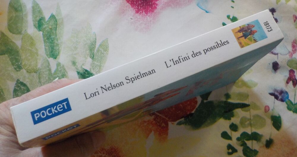 L'INFINI DES POSSIBLES de Lori NELSON SPIELMAN Livres et BD