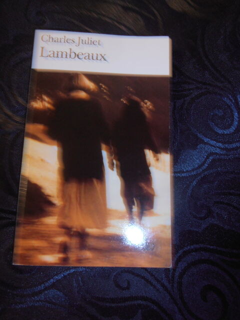 Lambeaux (29) 3 Tours (37)